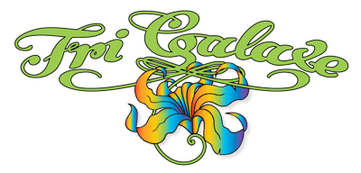 Fri Galaxe